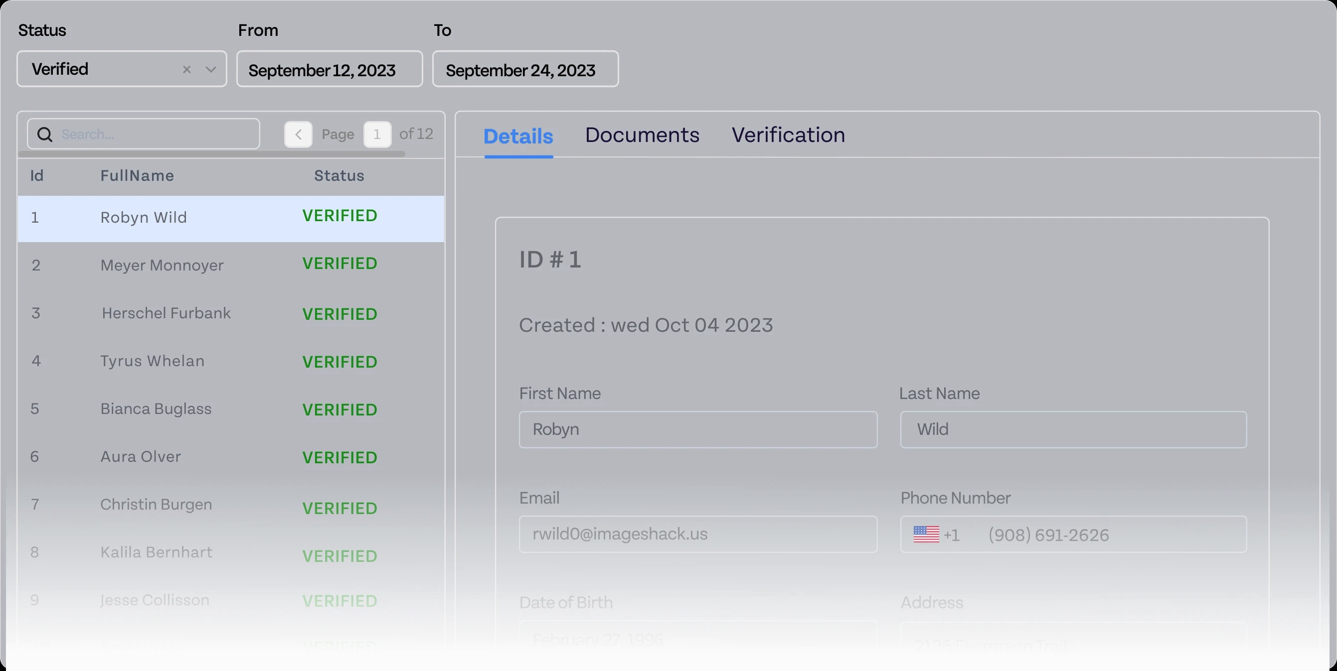 layout-widgets-preview